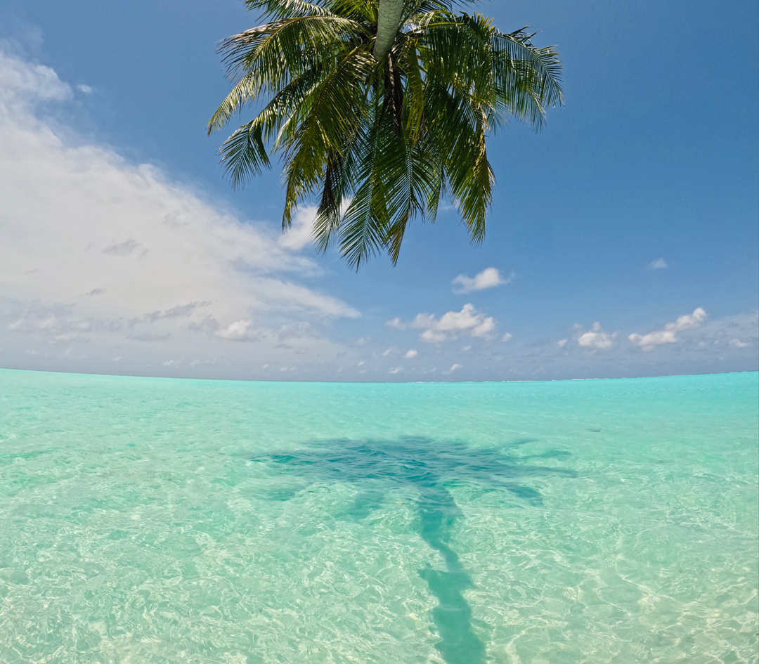 Guest House alle Maldive - Boaveli Maldives - Paese maldiviano